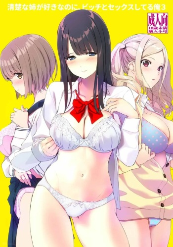 [Ura FMO (Fumio)] Seiso na Ane ga Suki nanoni, Bitch to Sex Shiteru Ore 3 [Spanish] [Digital] cover