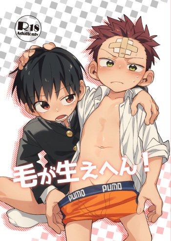 [Keito no Mori (Wool)] Ke ga Gaehen! [English] {Chin²} [Digital] cover