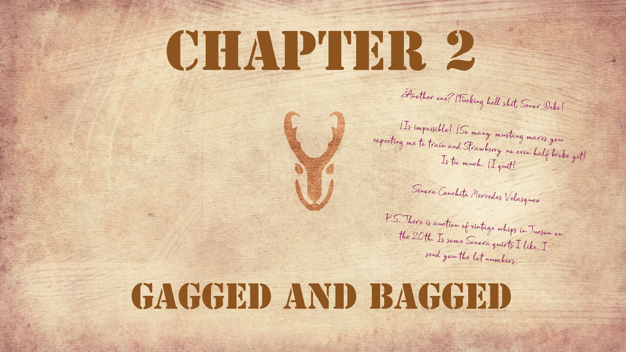 Bridles and Branding page 12 full