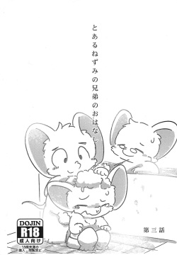 Toaru Nezumi no Kyoudai no Ohanashi Daisan-wa