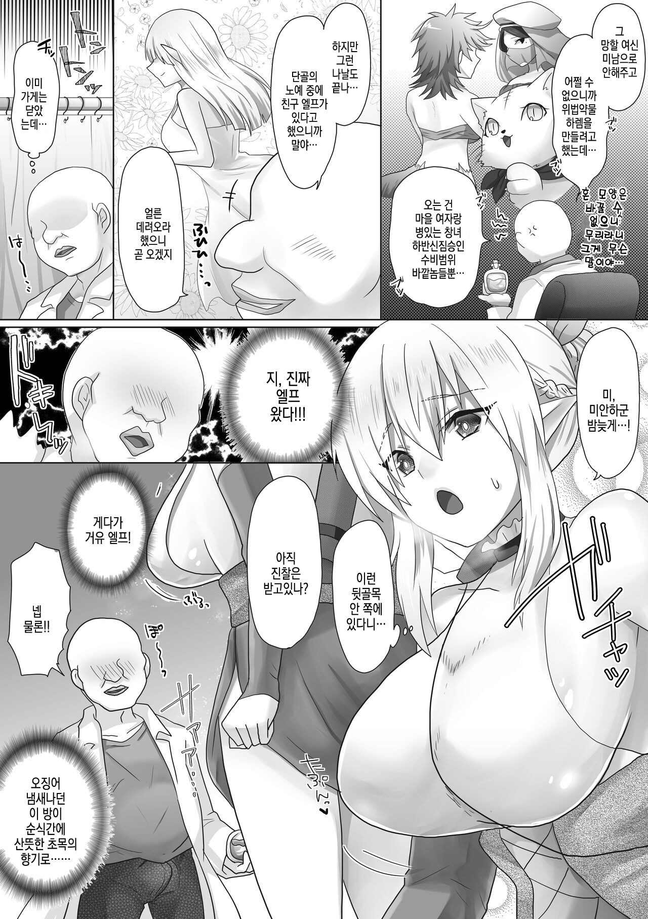 Funin Elf-san, Isekai Fujinka de Haramase page 11 full