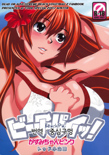 [Todd Special (Todd Oyamada)] Beach Pai! Kasumi-chan Pink (Dead or Alive Xtreme Beach Volleyball) [Korean] cover