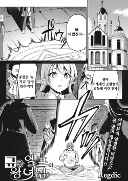 Hakoiri Elf no Oujo-sama | 규중 엘프의 왕녀님