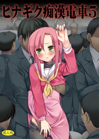 [Nagiyamasugi (Nagiyama)] Hinagiku Chikan Densha 5 (Hayate no Gotoku!) [Digital] cover