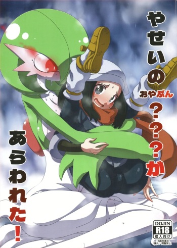(C101) [Hanya Yashiki (Hanya)] Yasei no Oyabun Sirnight ga Arawareta! (Pokémon) [korean] cover