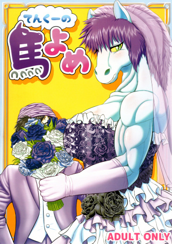 (Kansai! Kemoket 5) [Seiitsukyou (Goto-Beido)] Tenkuu no Uma Yome (Dragon Quest V) [English] [AkazaChan] cover