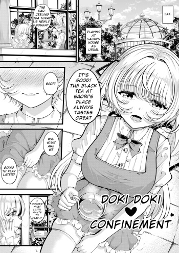 [Gin-chan] Lilith's Troubles—Doki Doki Confinement cover