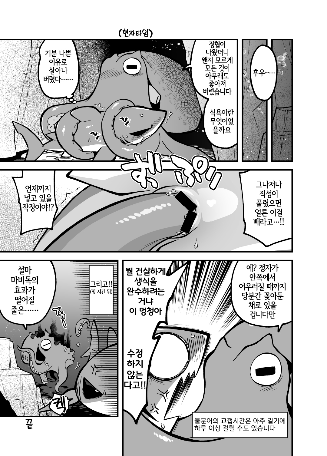Umi no Ikimono Zukan | 바다의 생물 도간 page 12 full