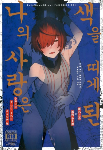(C97) [Koko no ka (Asahi) ] Iro Ni De De Nikeri Wagakoiha | 색을 띠게 된 나의 사랑은 (Fate Grand Order) [Korean] cover