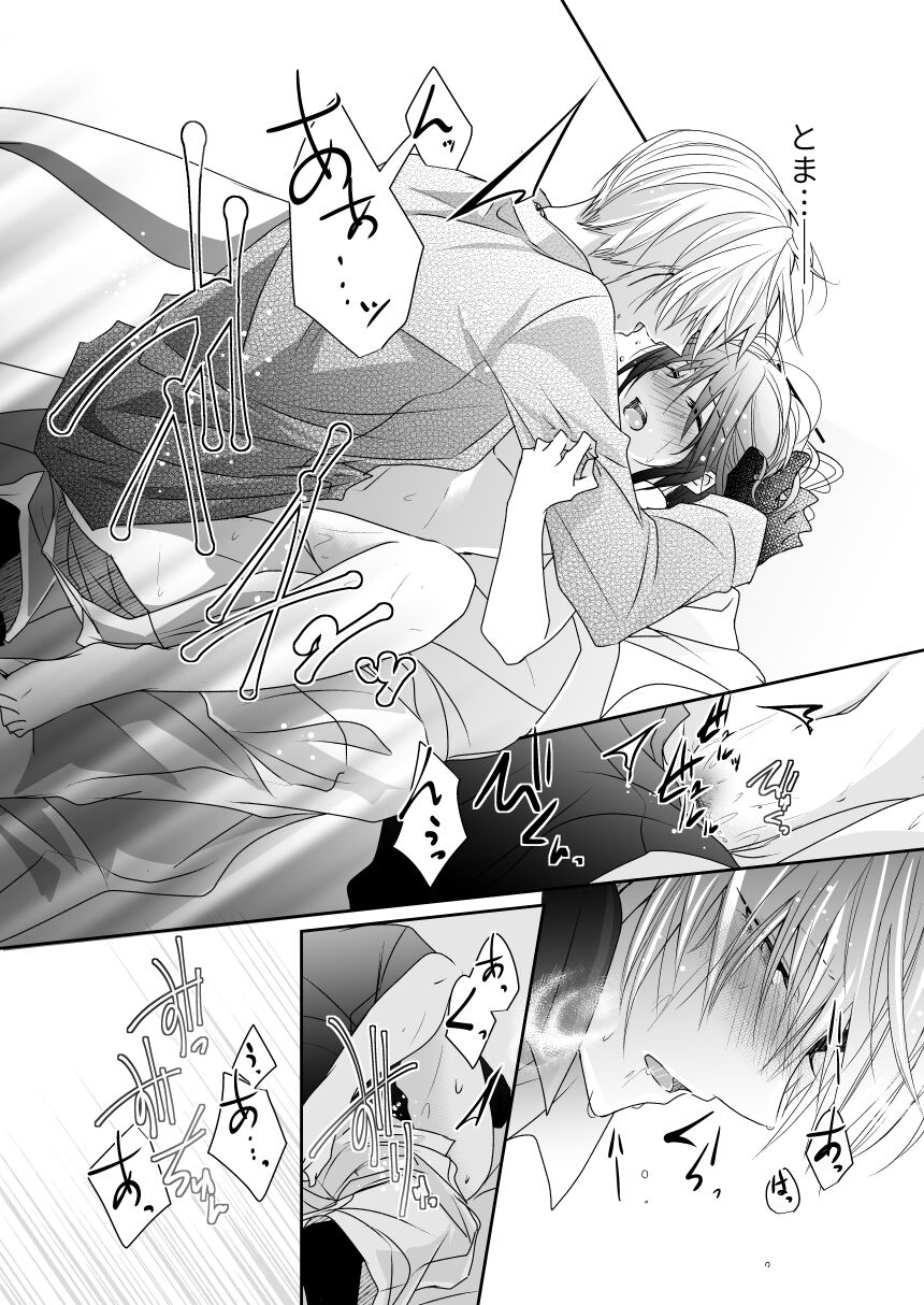 'Kikkou Sadamune ni Shikotama Biyaku o Motta Hon.' page 12 full