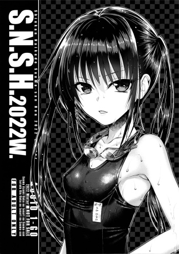 (C101) [40010 1-GO (Shimanto Shisakugata)] S.N.S.H.2022W. [Korean] cover
