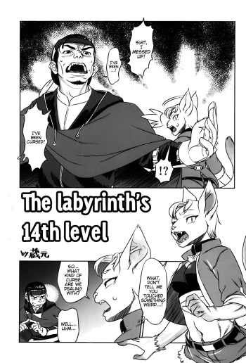 The Labrinth's 14th Level [English] cover