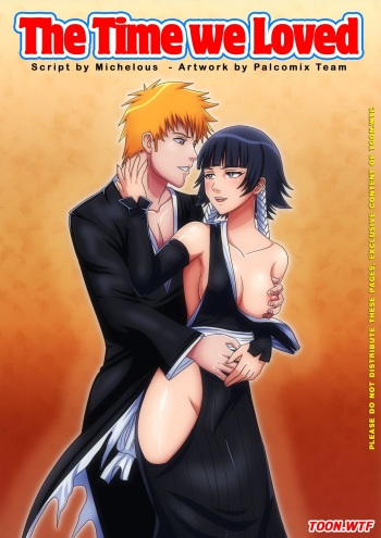 [Palcomix] The time we loved (Bleach) cover