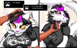 Cat Petterz Unplugged